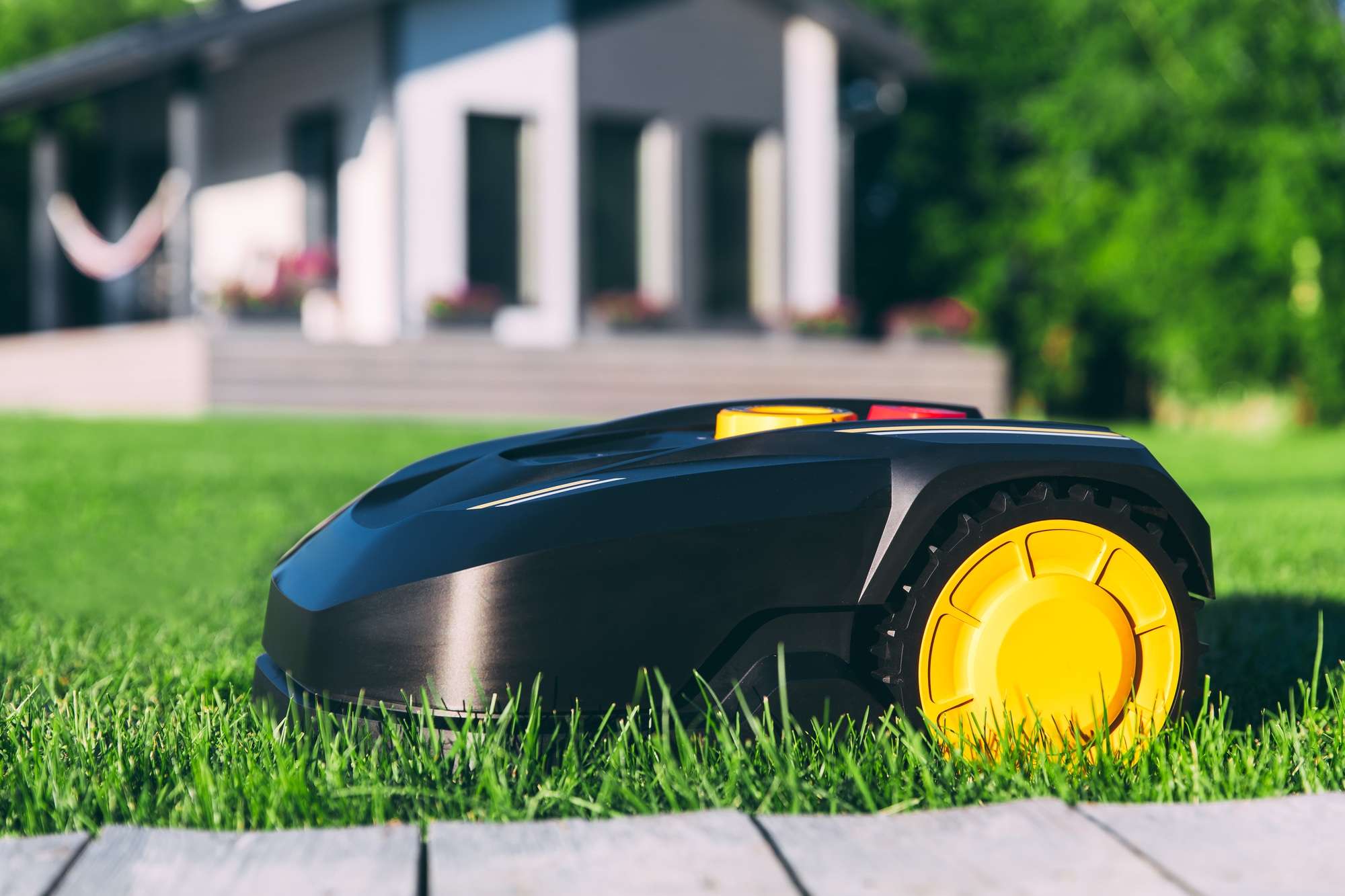 Robotic Lawn Mower Cutting Grass In The Garden.