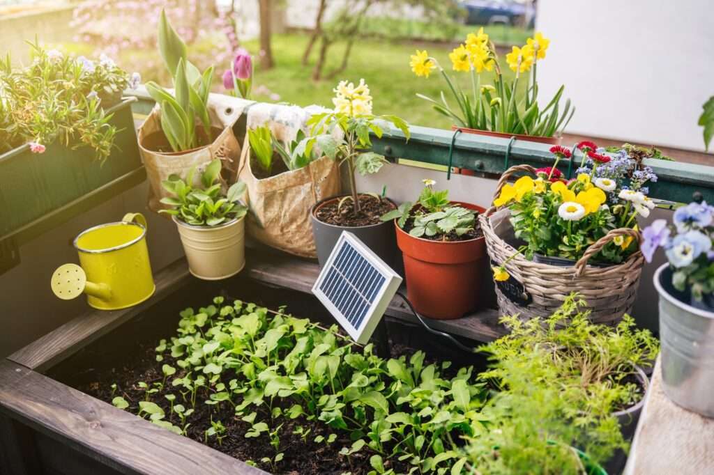Solar Battery In High Garden Bed On Balcony